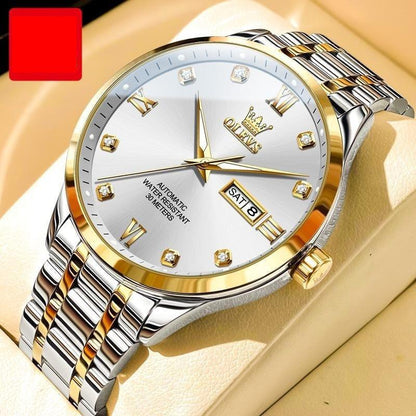 Men's Waterproof Automatic Mechanical Watch - Aaryan Malik اريان مالك