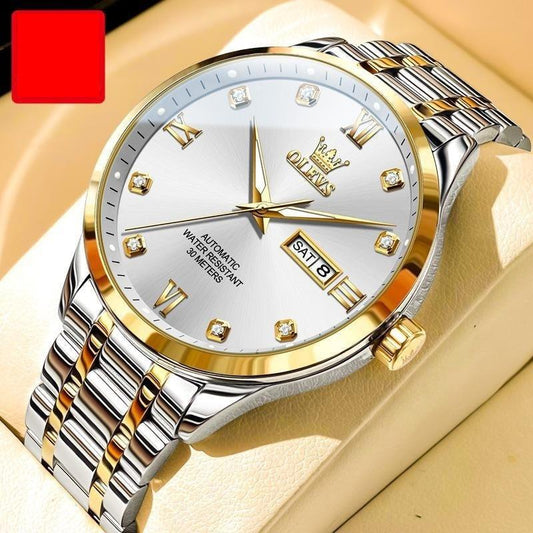 Men's Waterproof Automatic Mechanical Watch - Aaryan Malik اريان مالك